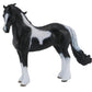 Barock Pinto Stallion