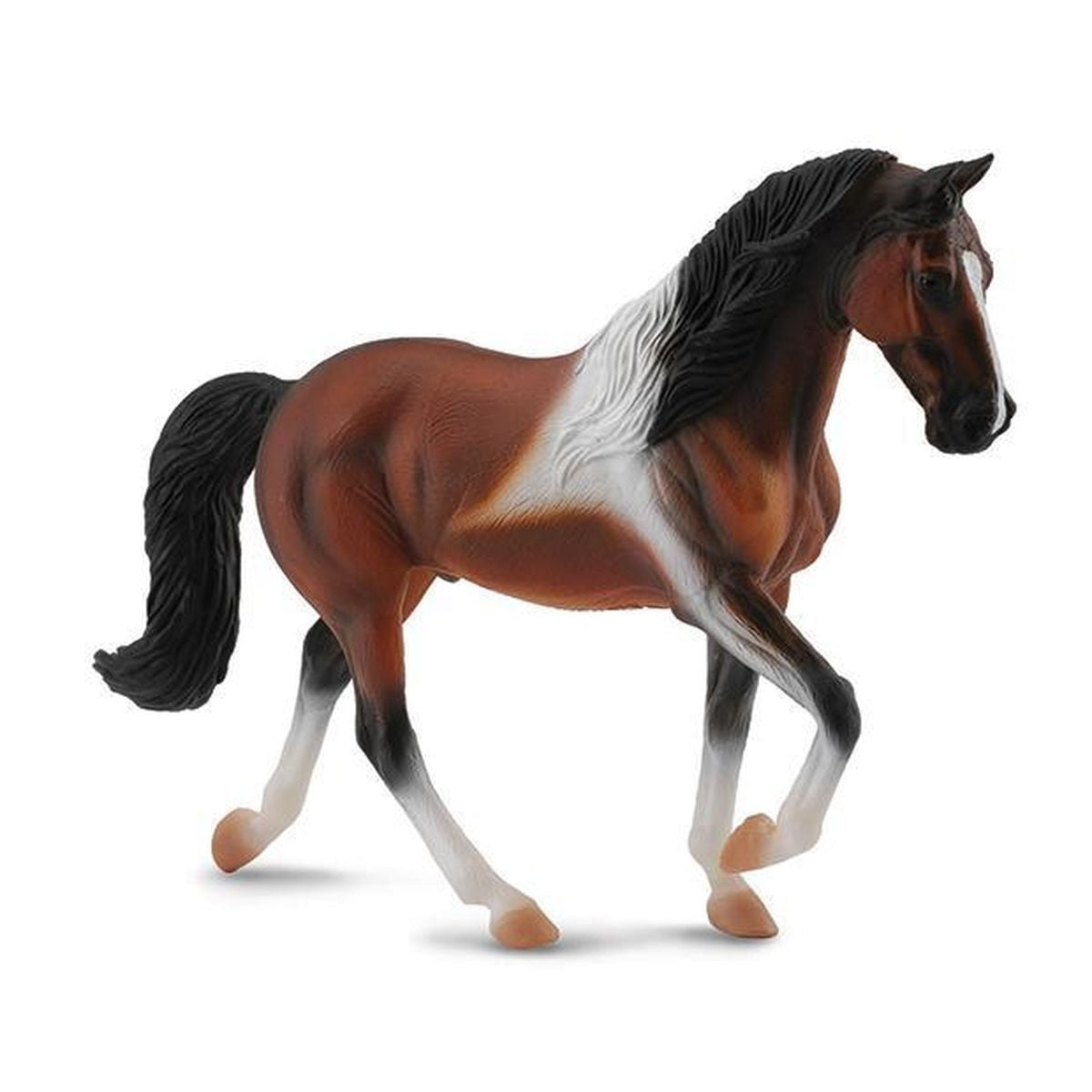 Tennessee Walking Horse Stallion Bay Pinto