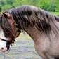 Breyer Brookside Pink Magnum Welsh Pony Stallion