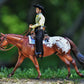 Chocolatey Appaloosa Horse Stallion