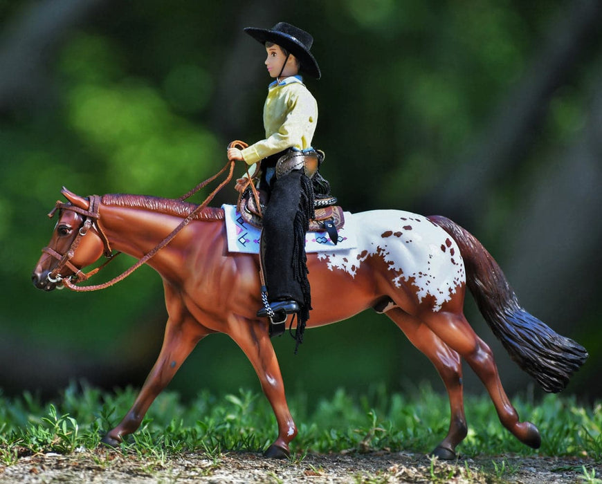 Chocolatey Appaloosa Horse Stallion