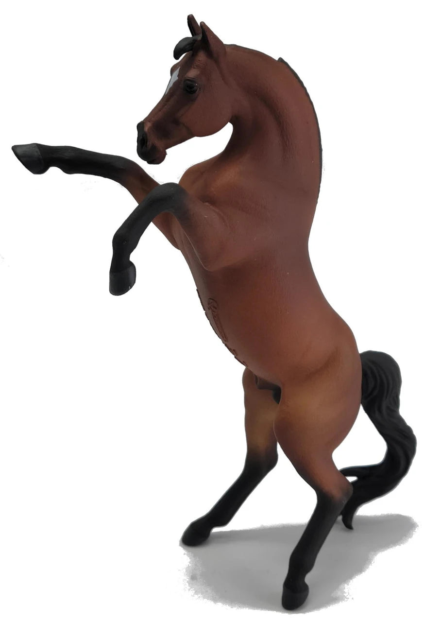 Arabian Rearing Stallion Bay