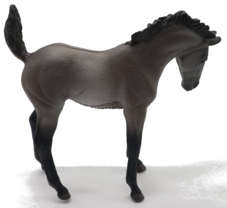Mustang Foal Gruella