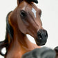 Arabian Rearing Stallion Bay