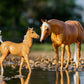 Ebony Shines & Charlize Foal