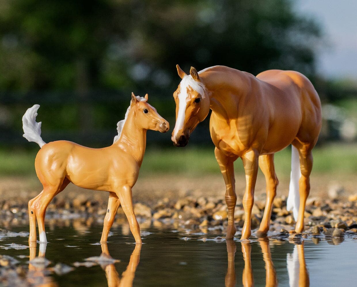 Ebony Shines & Charlize Foal