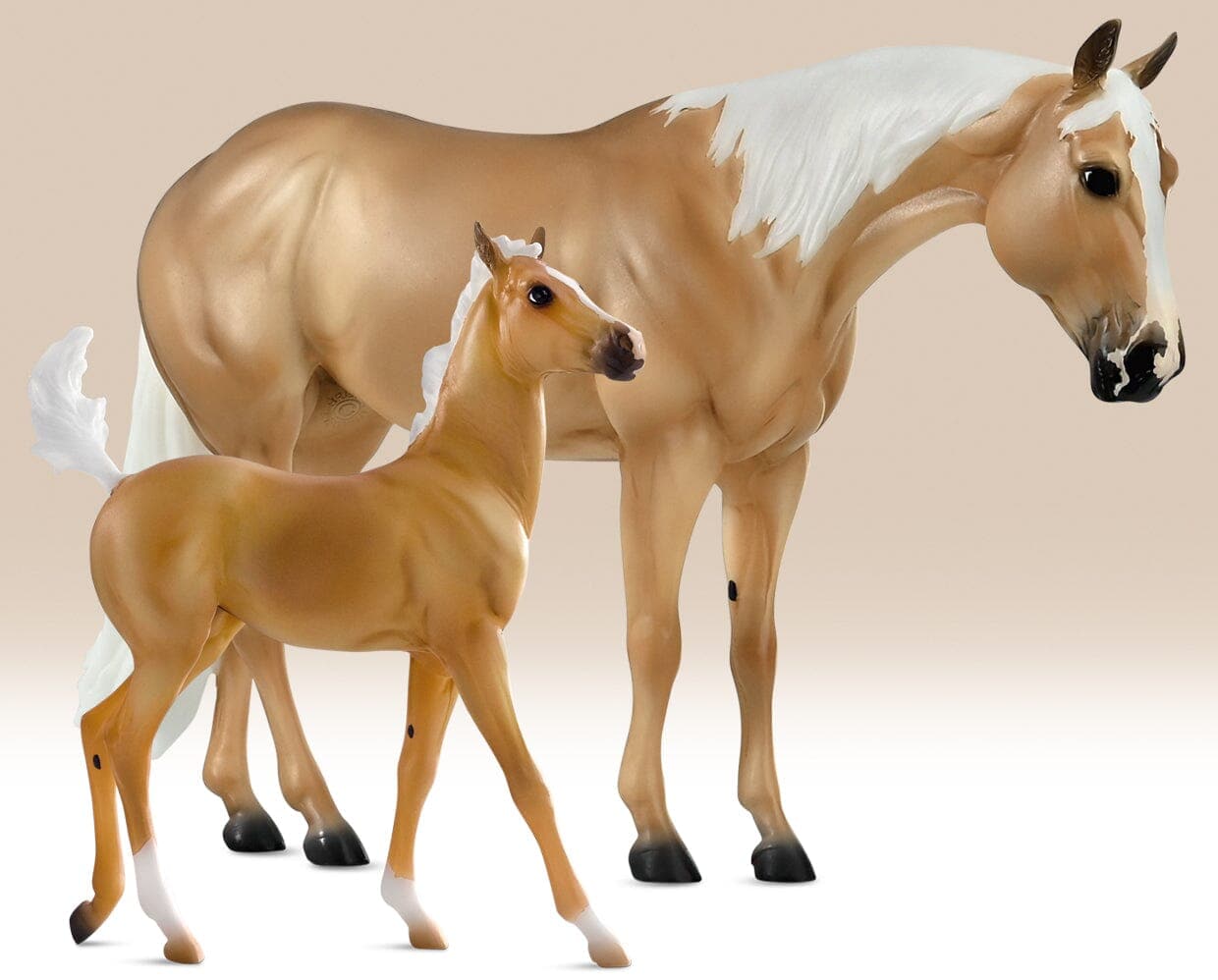Ebony Shines & Charlize Foal