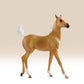 Ebony Shines & Charlize Foal