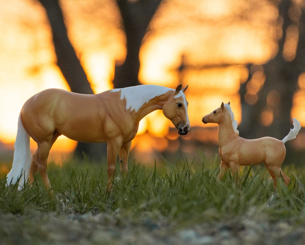 Ebony Shines & Charlize Foal
