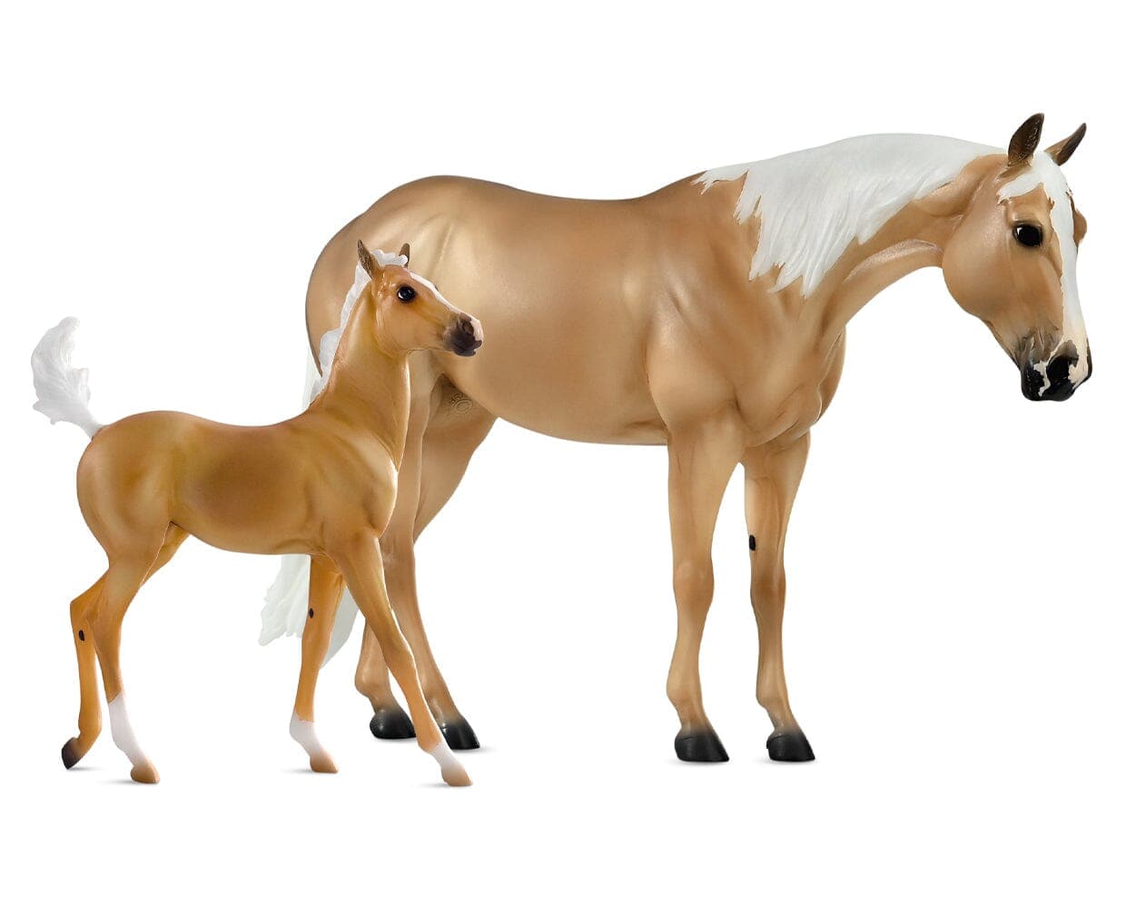 Ebony Shines & Charlize Foal