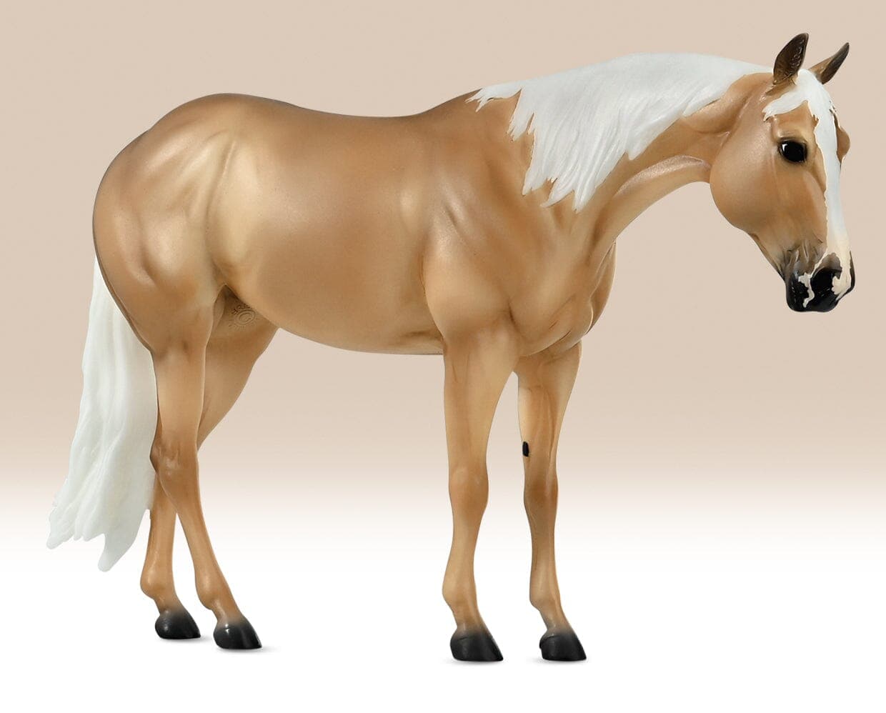Ebony Shines & Charlize Foal