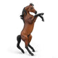Arabian Rearing Stallion Bay
