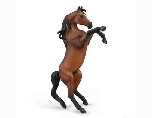 Arabian Rearing Stallion Bay