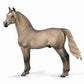 Morgan Stallion