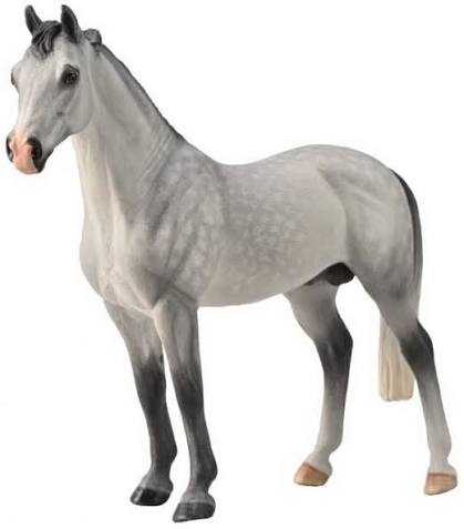 Hanoverian Stall Dapple Grey