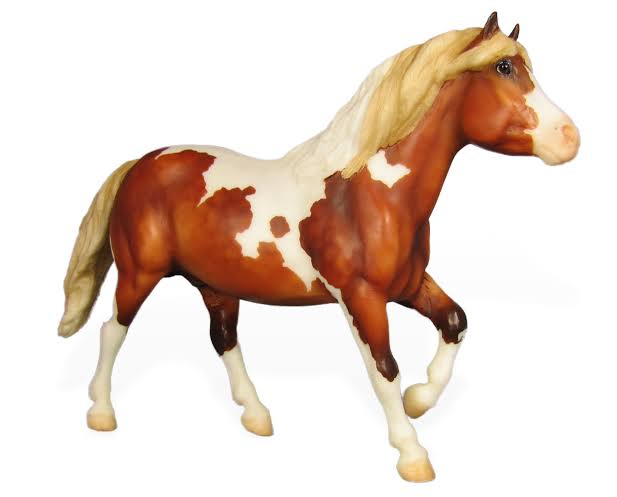 Chincoteague Pony