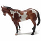 Appaloosa Stallion Paint Horse Bay Overo