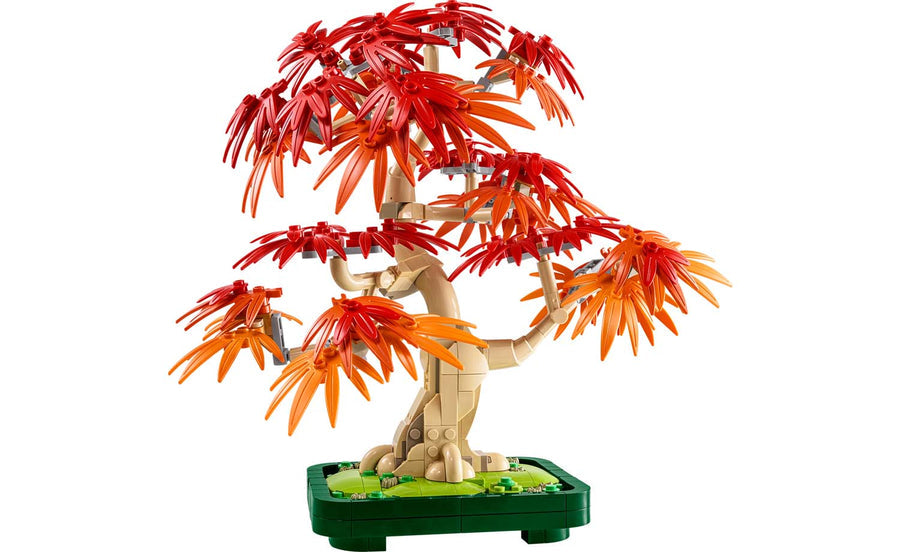 Botanicals Japanese Red Maple Bonsai Tree