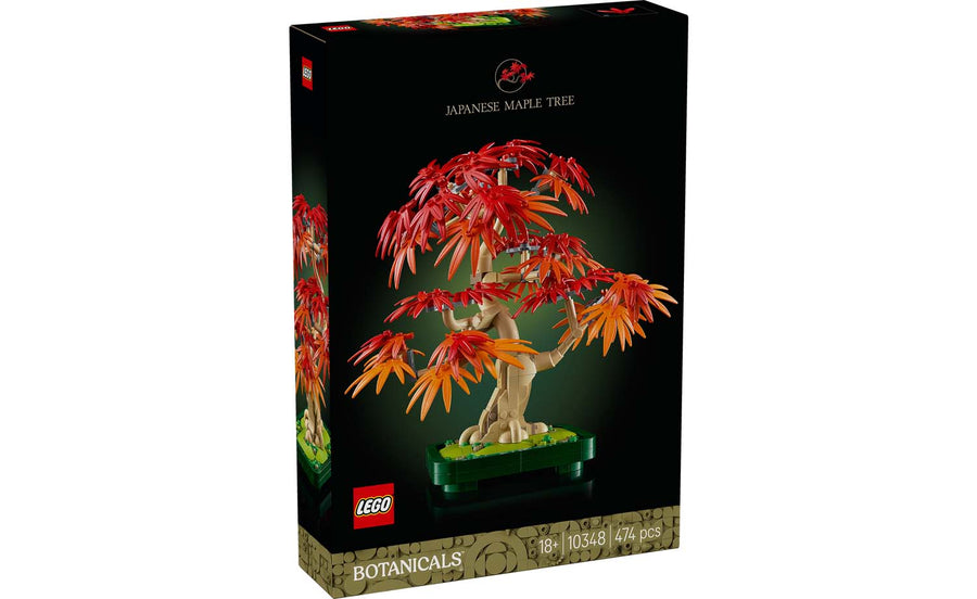 Botanicals Japanese Red Maple Bonsai Tree