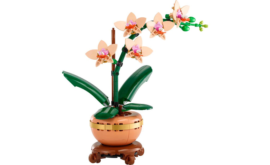 Botanicals Mini Orchard