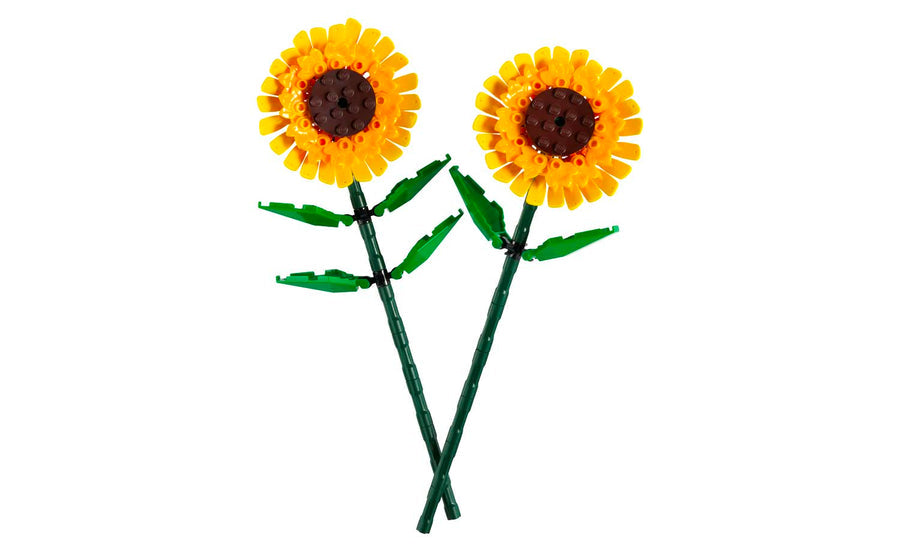 Botanicals Sunflowers