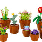 Botanical Tiny Plants