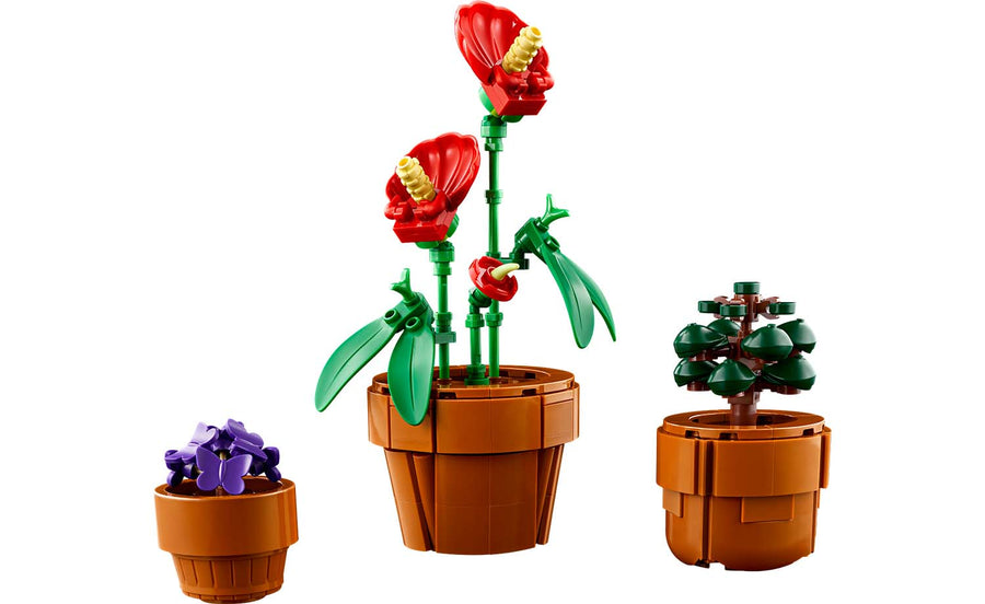 Botanical Tiny Plants