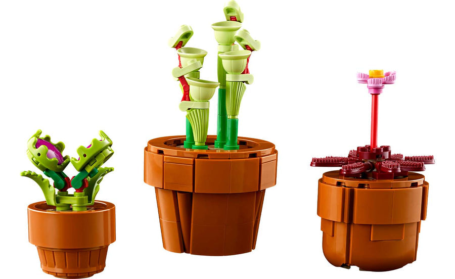 Botanical Tiny Plants