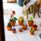 Botanical Tiny Plants