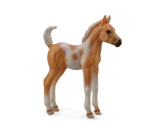 Pino Foal Standing Palomino