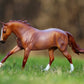Breyer Peptoboonsmal American Quarter Horse Stallion