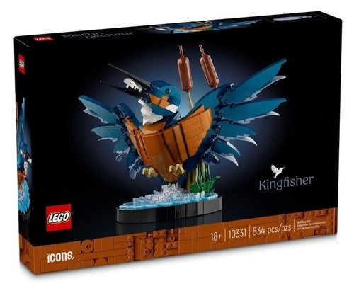 Kingfisher Bird