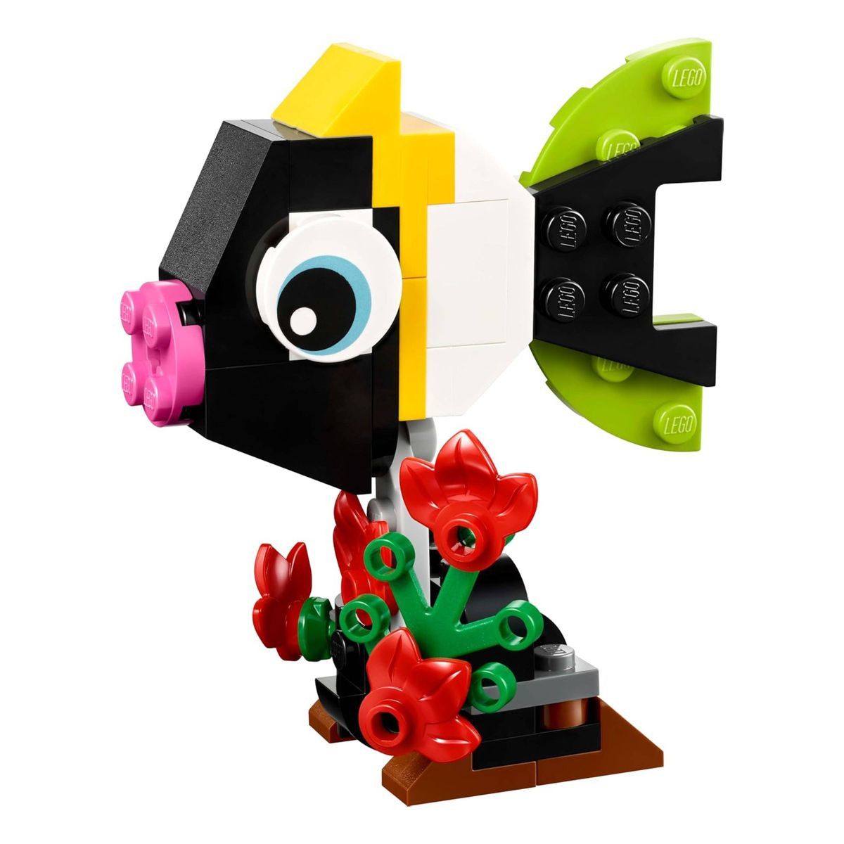 3 in 1 Tropical Toucan