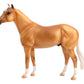 The Ideal Series - Palomino