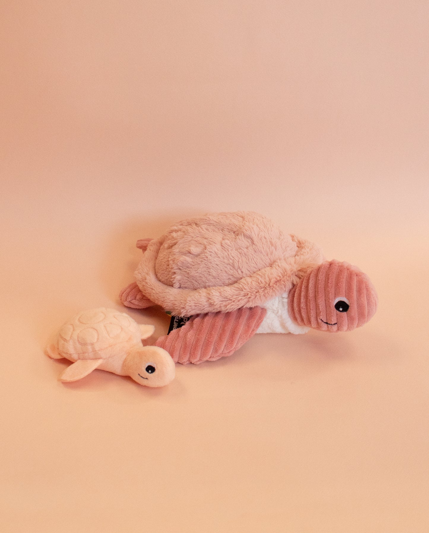 The Turtle Mom & Baby - La Tortue 29cm (Asst. Colours Available)