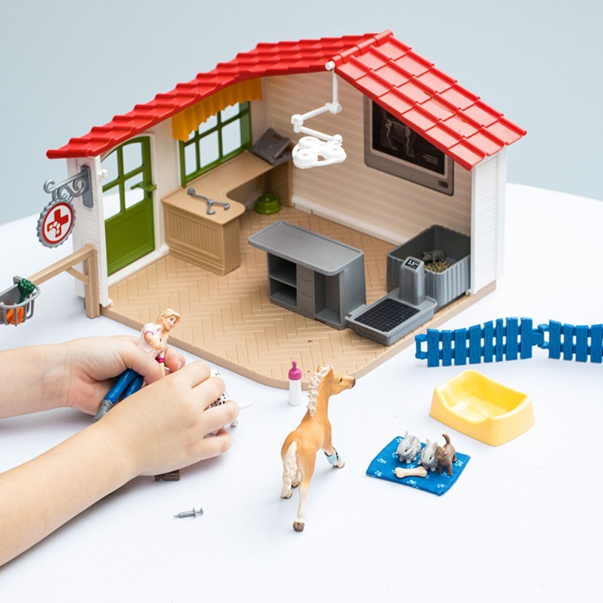 Veterinary Practice with Pets