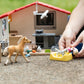 Veterinary Practice with Pets
