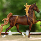 WGC Marc of Charm