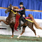 WGC Marc of Charm