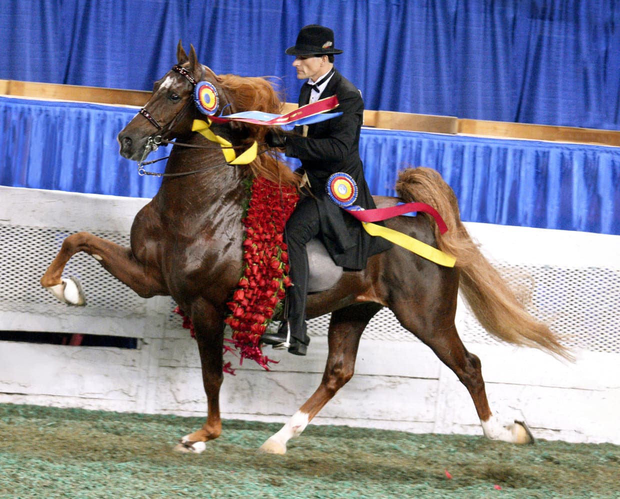 WGC Marc of Charm