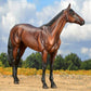 Breyer Winx Throughbred Racehorse Mare