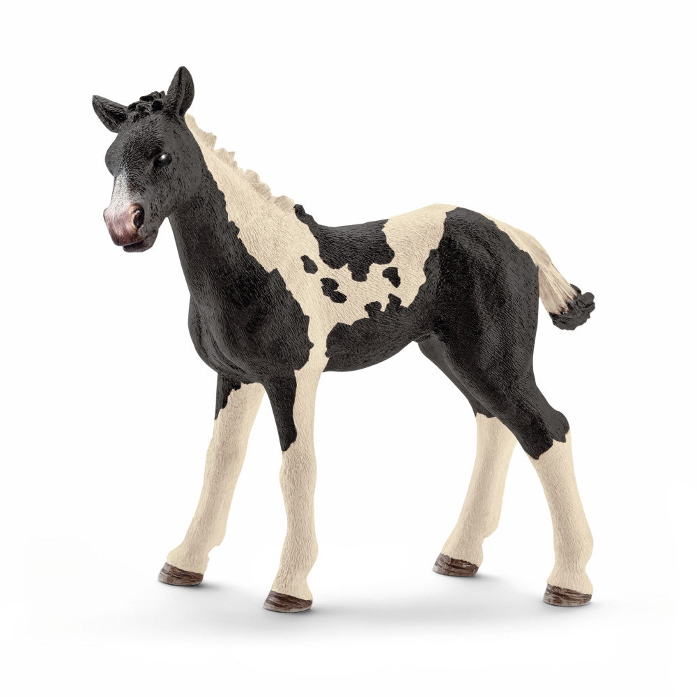 Pinto Foal - 8cm