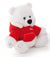 Christmas Trudi Bear Plush - 26cm
