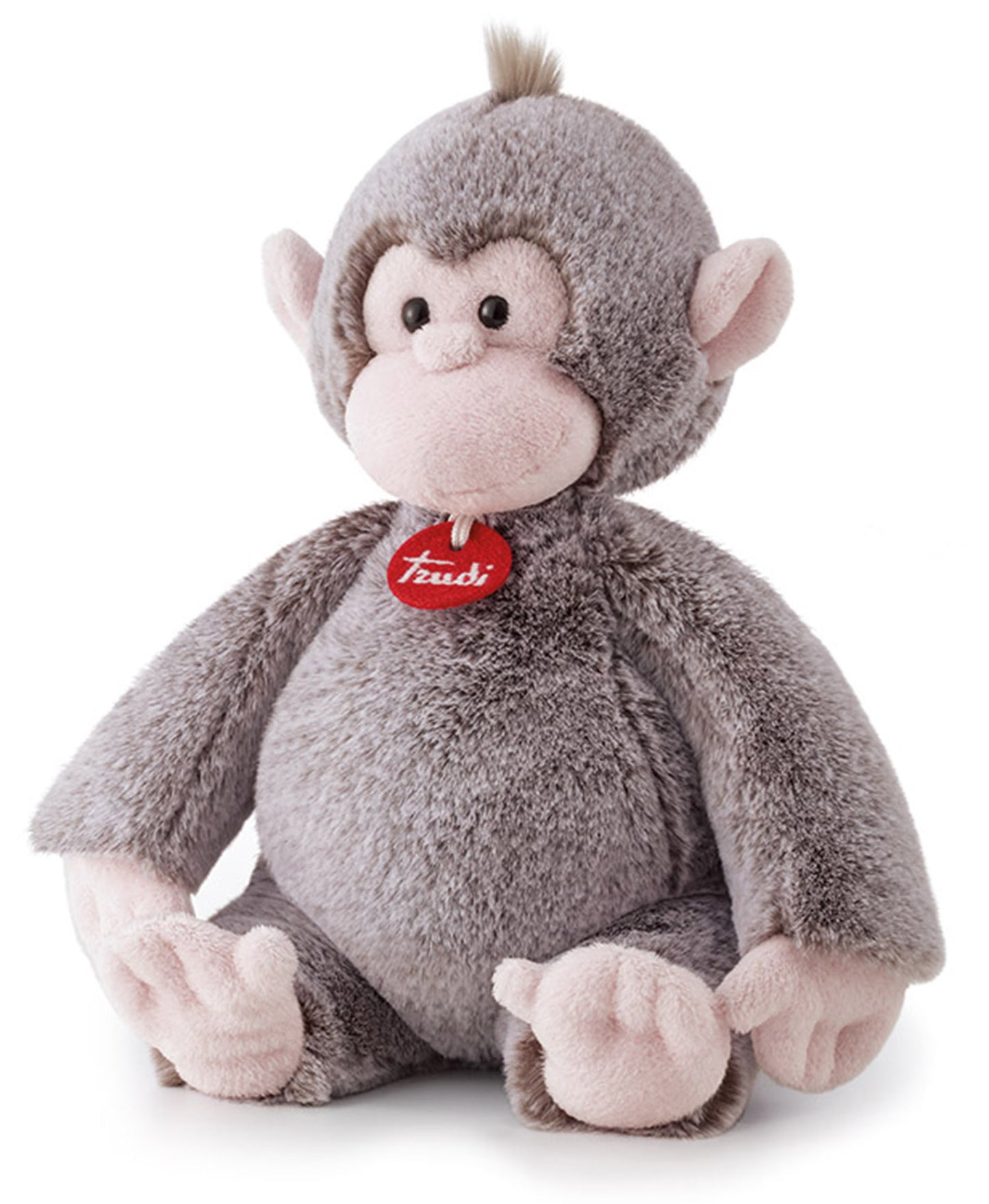 Cashmerini Monkey