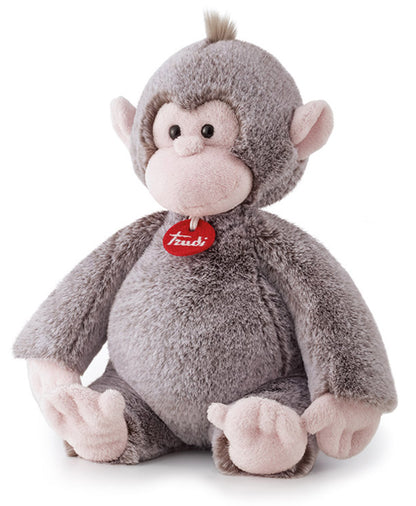 Cashmerini Monkey