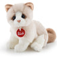 Classic Kitten Brad White & Beige - S 24cm