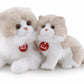 Classic Cat Giada - M 47cm