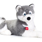 Classic Dog Husky Marcus - XXL 72cm