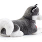 Classic Dog Husky Marcus - XXL 72cm