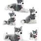 Classic Dog Husky Marcus - XXL 72cm